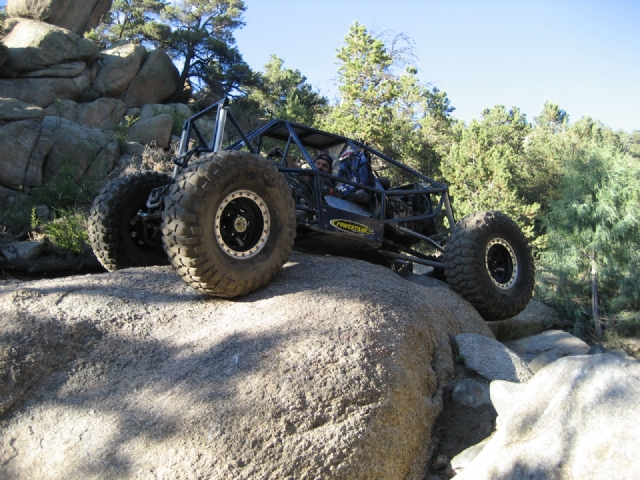 BV Carnage - Anthony in the Buggy